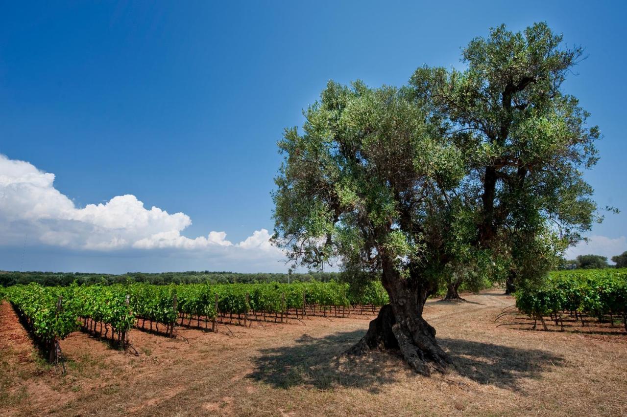 Masseria Le Fabriche Maruggio Esterno foto