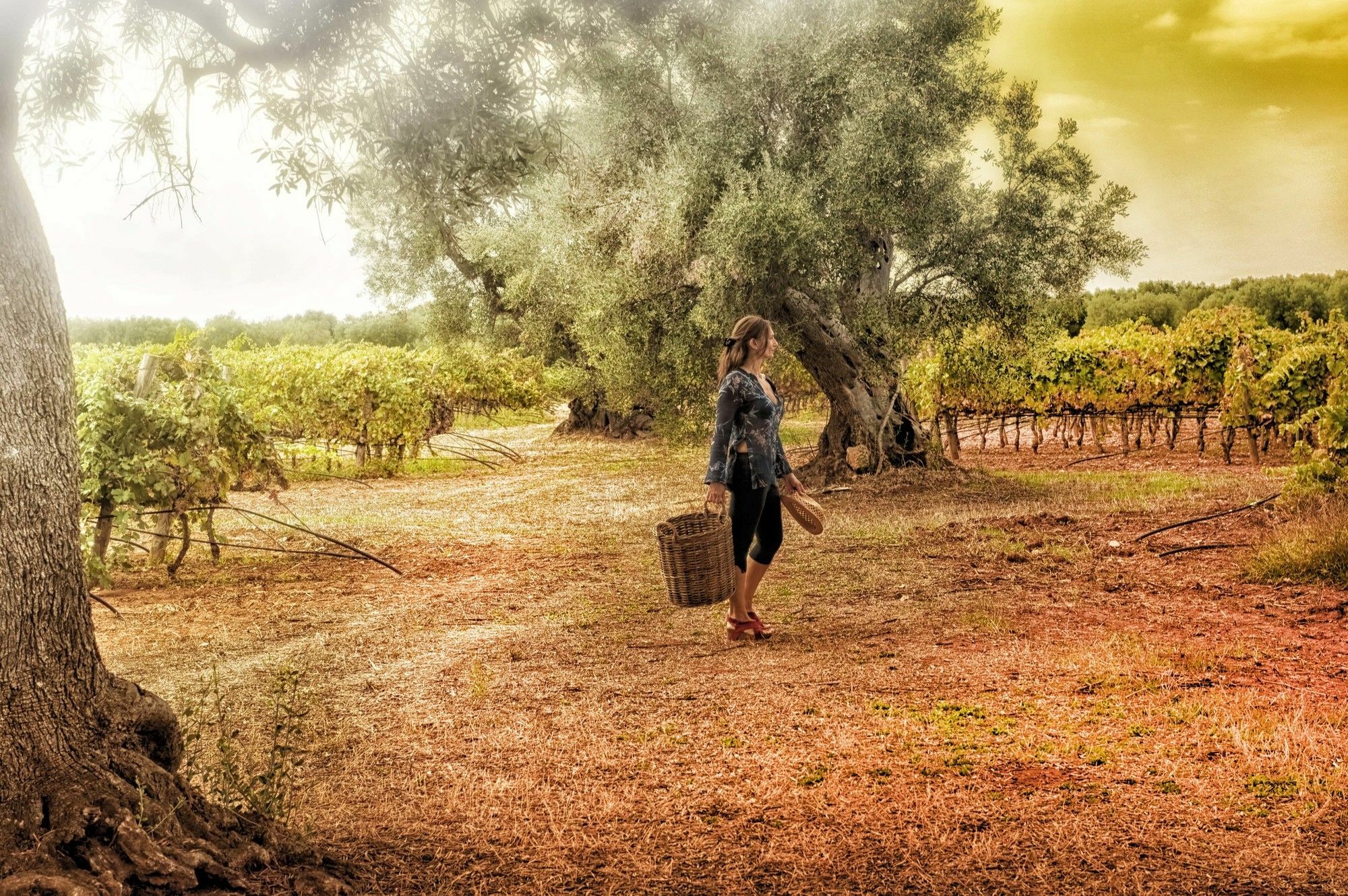 Masseria Le Fabriche Maruggio Esterno foto